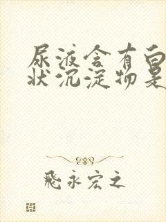 尿液含有白色絮状沉淀物是怎么回事