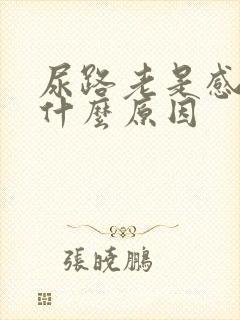 尿路老是感染是什么原因