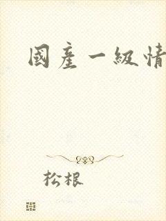 国产一级情色片