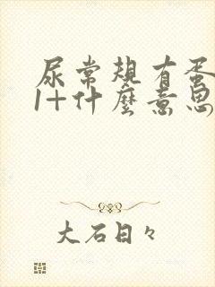 尿常规有蛋白质1+什么意思