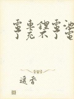 电车锂电池放久了充不了电怎么办