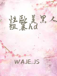 性欧美黑人4p粗暴hd