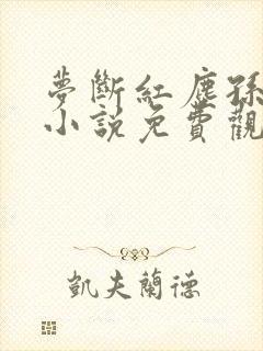 梦断红尘孙柳怡小说免费观看