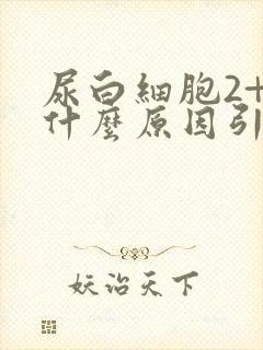 尿白细胞2+是什么原因引起的