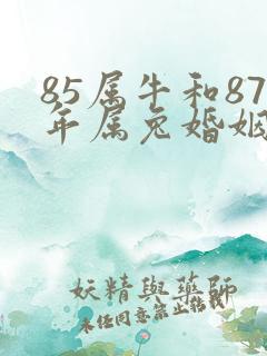 85属牛和87年属兔婚姻如何