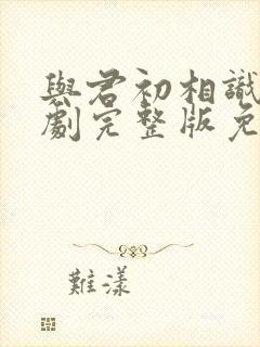 与君初相识电视剧完整版免费高清