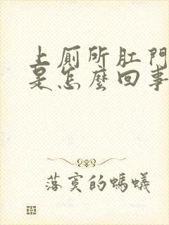 上厕所肛门流血是怎么回事啊