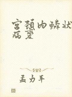 宫颈内鳞状上皮病变