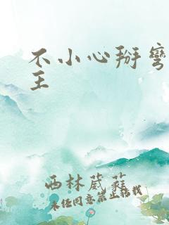 不小心掰弯了男主