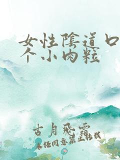 女性阴道口内有个小肉粒