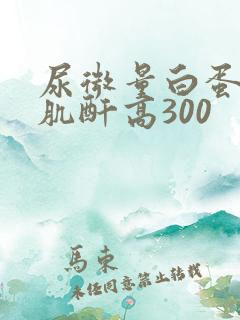 尿微量白蛋白/肌酐高300