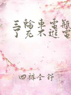 三轮车电瓶放久了充不进电怎么办