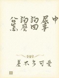 公狗狗尿中带血怎么回事