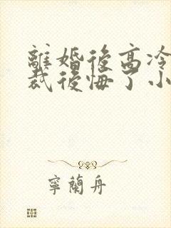 离婚后高冷女总裁后悔了小说笔趣