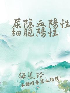 尿隐血阳性尿白细胞阳性