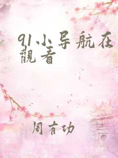 91小导航在线观看