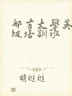 哪有大学英语四级培训班