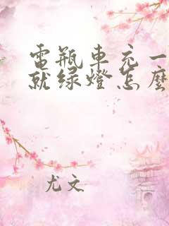 电瓶车充一会电就绿灯怎么回事