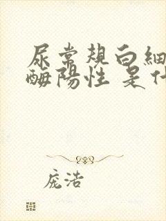 尿常规白细胞酯酶阳性 是什么