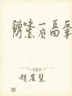 猫咪一直反复尿闭怎么回事