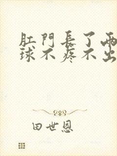 肛门长了两个肉球不疼不出血