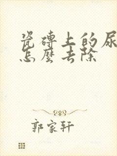 瓷砖上的尿骚味怎么去除