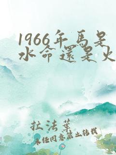 1966年马是水命还是火命
