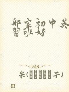 哪家初中英语补习班好