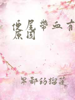 便尾带血有几个原因