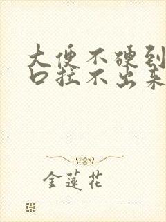 大便不硬到肛门口拉不出来怎么办