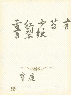 舌红少苔有齿痕有裂纹