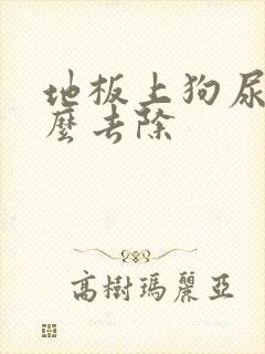 地板上狗尿味怎么去除