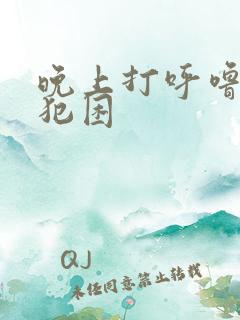 晚上打呼噜白天犯困