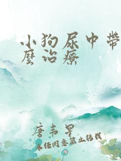 小狗尿中带血怎么治疗