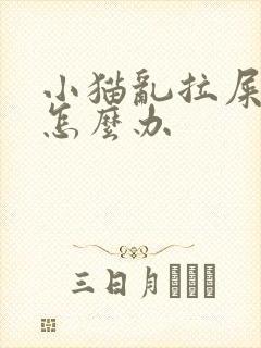 小猫乱拉屎拉尿怎么办