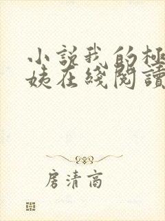 小说我的极品小姨在线阅读全文