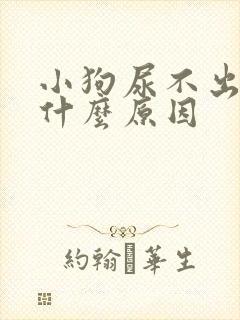 小狗尿不出尿是什么原因