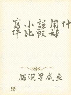 写小说用什么软件比较好