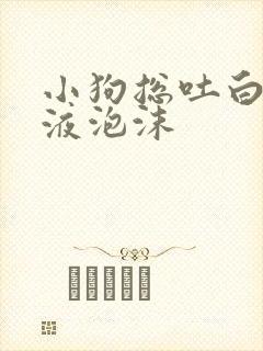 小狗总吐白色粘液泡沫