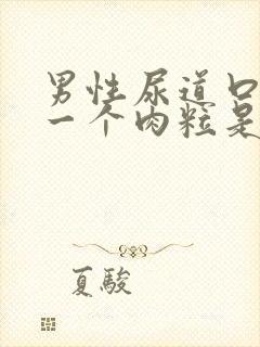 男性尿道口长了一个肉粒是怎么回事