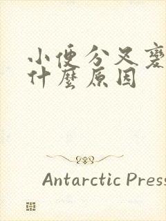 小便分叉变细是什么原因