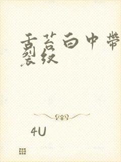 舌苔白中带黄有裂纹