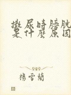 撒尿时膀胱疼痛是什么原因