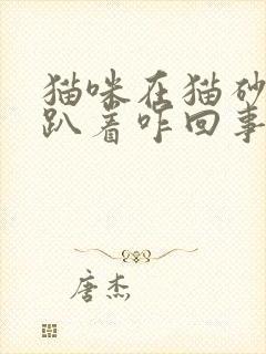 猫咪在猫砂盆里趴着咋回事