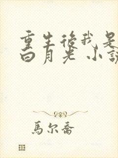 重生后我是大佬白月光 小说