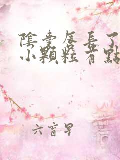 阴囊唇长了很多小颗粒有点痒