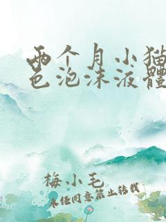 两个月小猫吐白色泡沫液体是怎么了