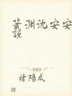 萧渊沈安安的小说