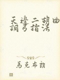 天边二胡曲谱g调弓指法