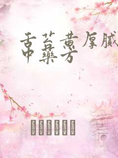 舌苔黄厚腻口苦中药方